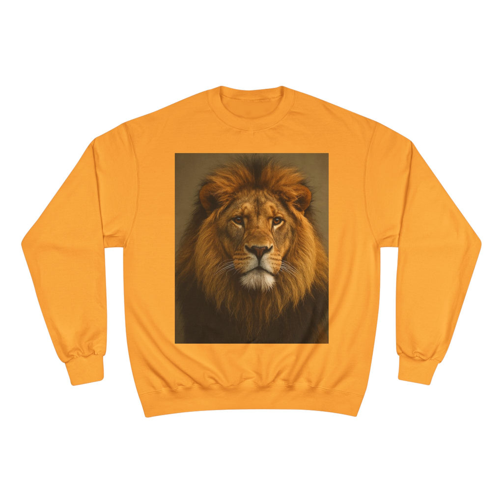 Champion Sweatshirt - EU Representative Contact Information and Care Instructions