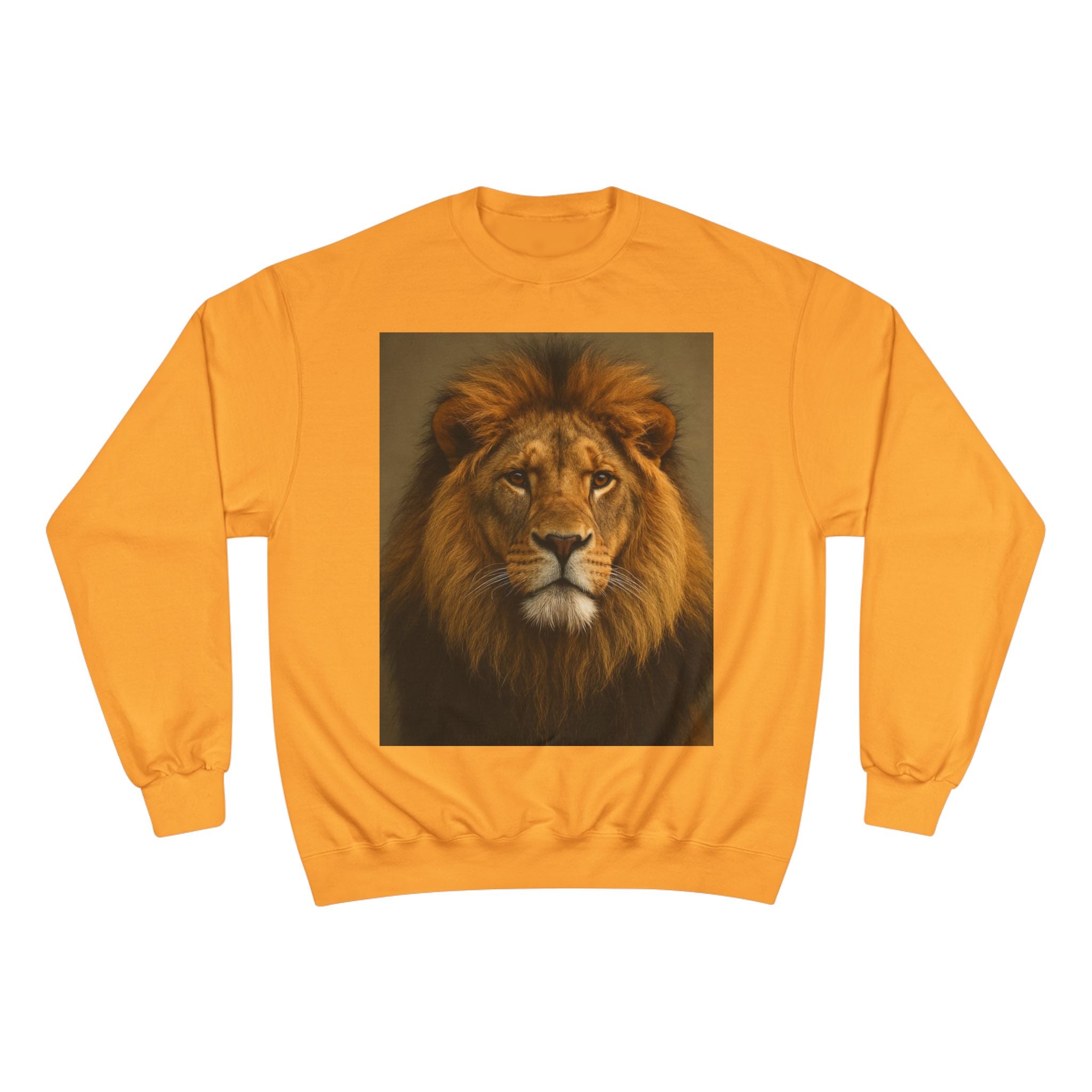 Champion Sweatshirt - EU Representative Contact Information and Care Instructions