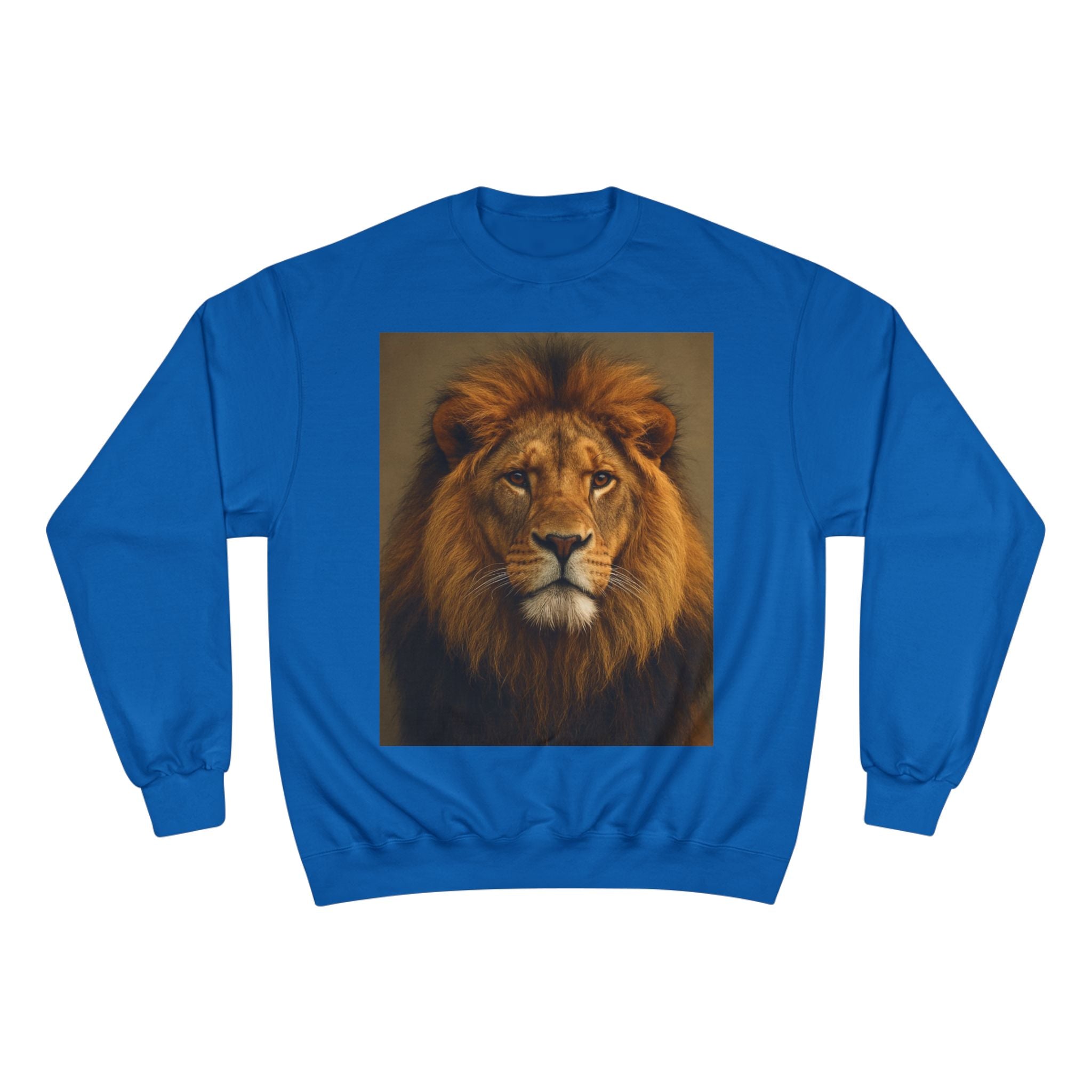 Champion Sweatshirt - EU Representative Contact Information and Care Instructions
