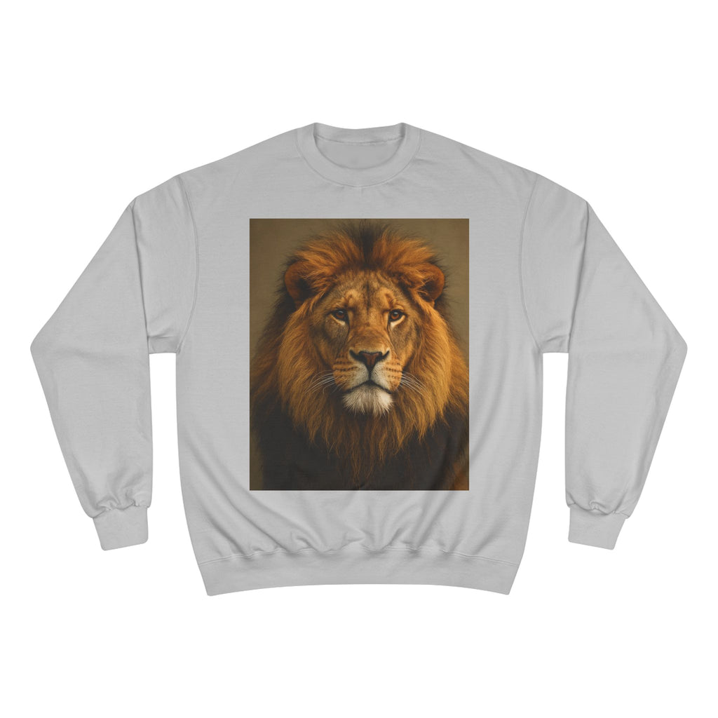 Champion Sweatshirt - EU Representative Contact Information and Care Instructions