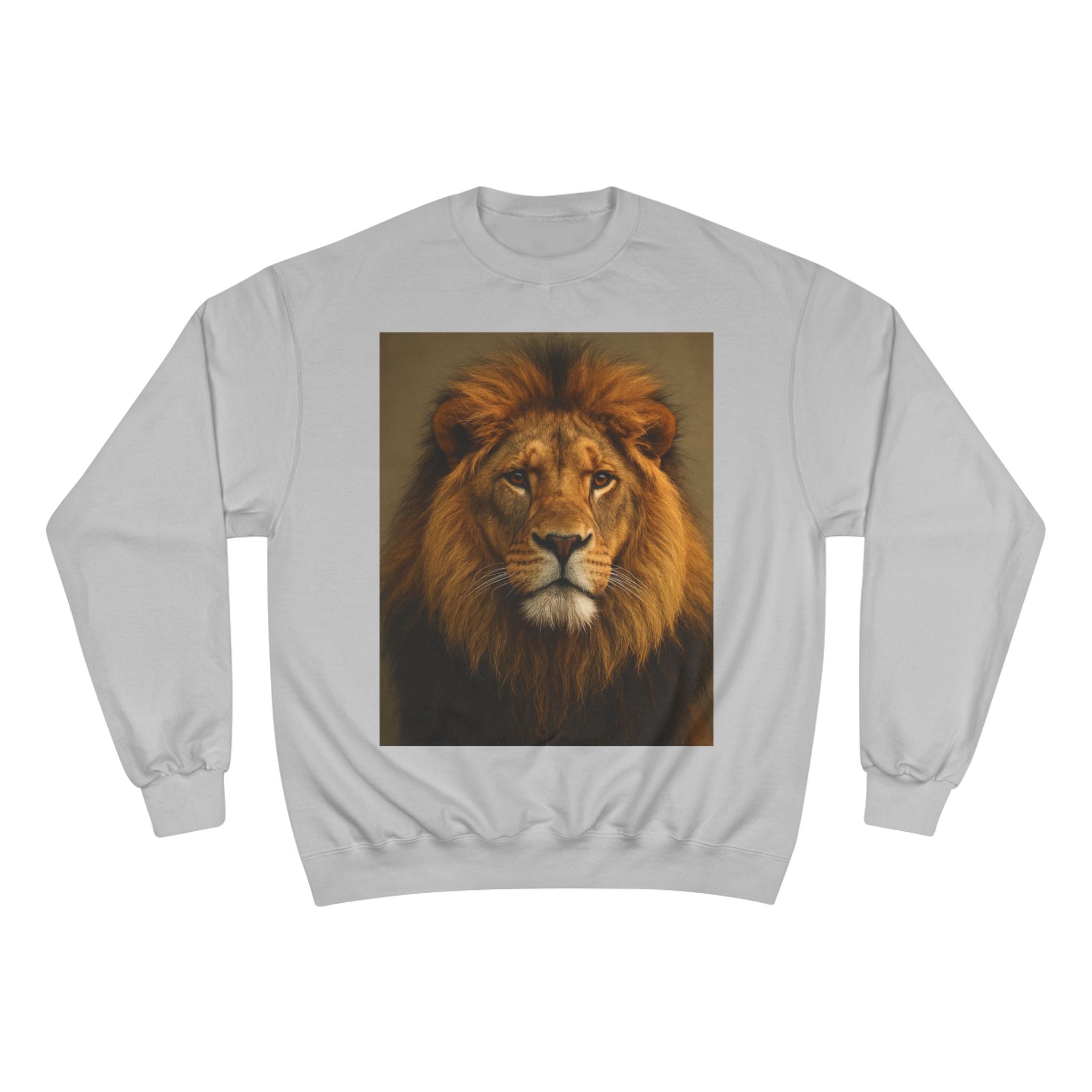 Champion Sweatshirt - EU Representative Contact Information and Care Instructions
