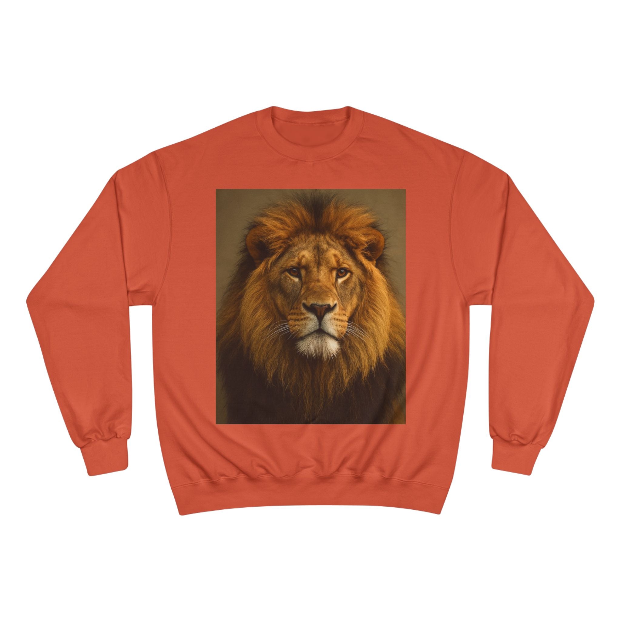 Champion Sweatshirt - EU Representative Contact Information and Care Instructions