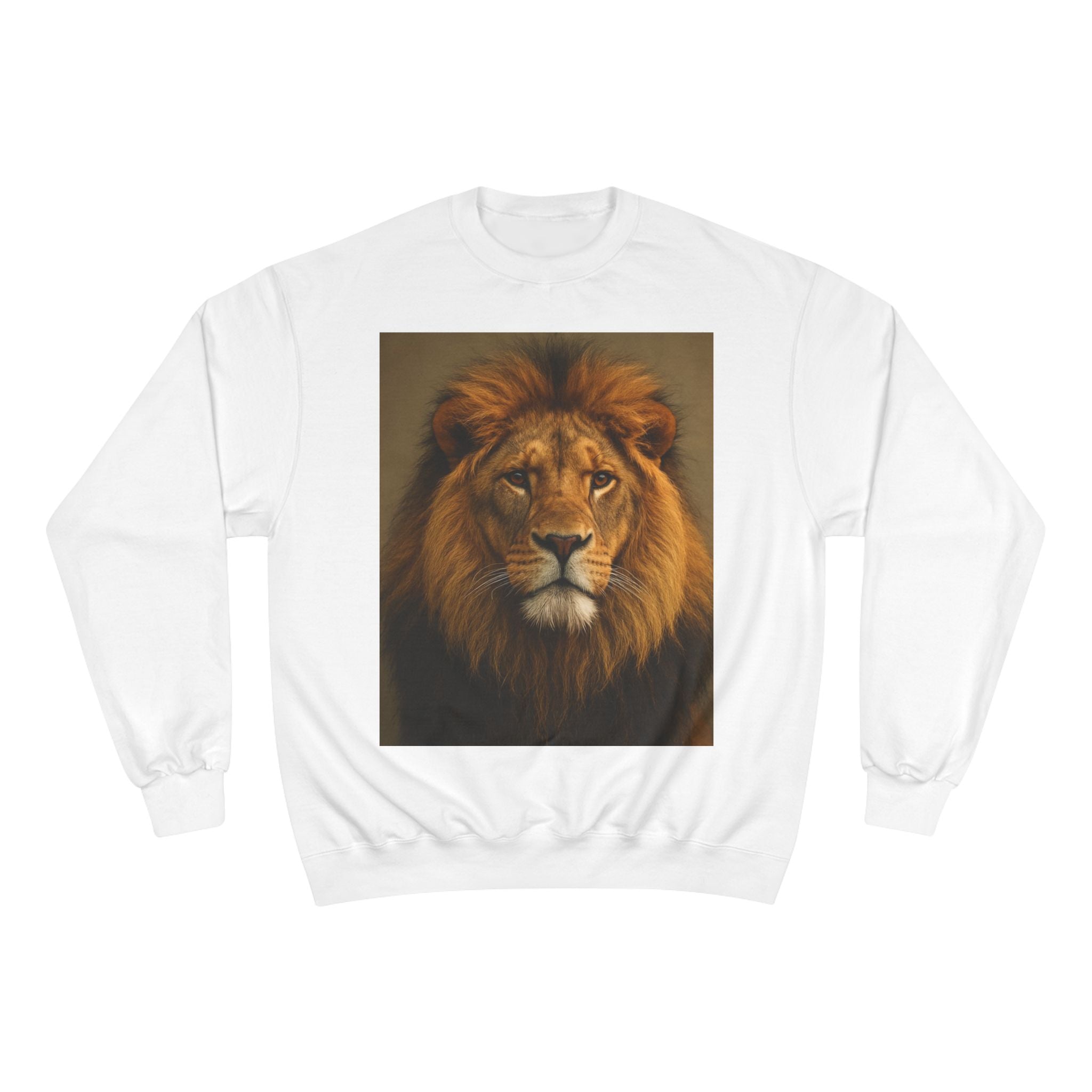 Champion Sweatshirt - EU Representative Contact Information and Care Instructions