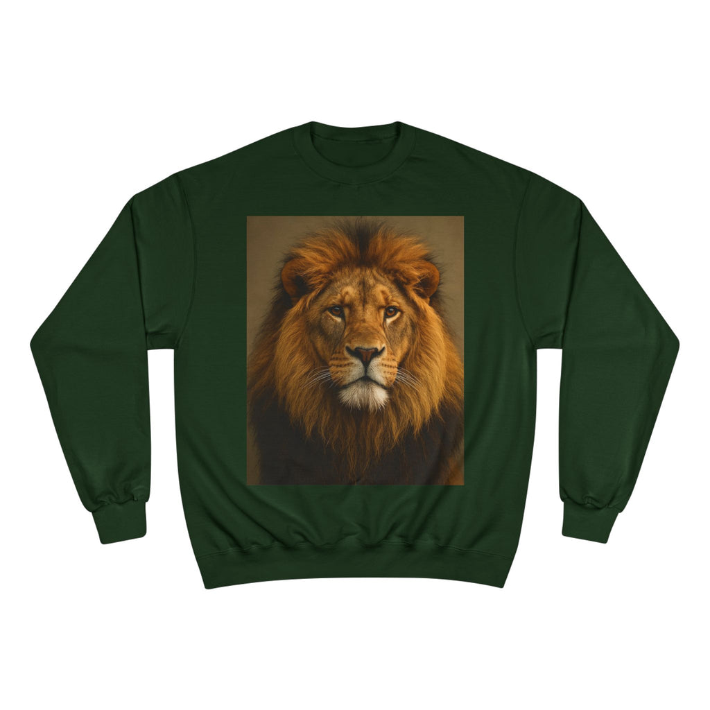 Champion Sweatshirt - EU Representative Contact Information and Care Instructions