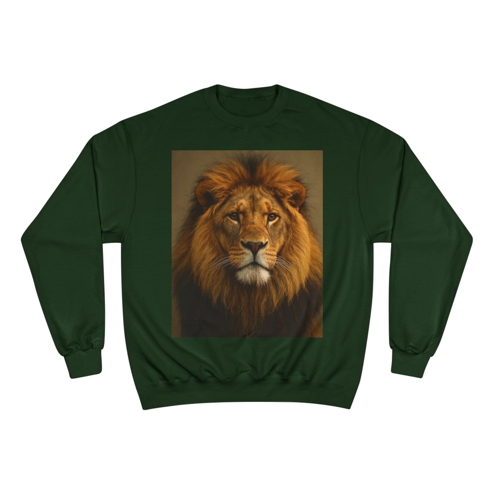 Champion Sweatshirt - EU Representative Contact Information and Care Instructions