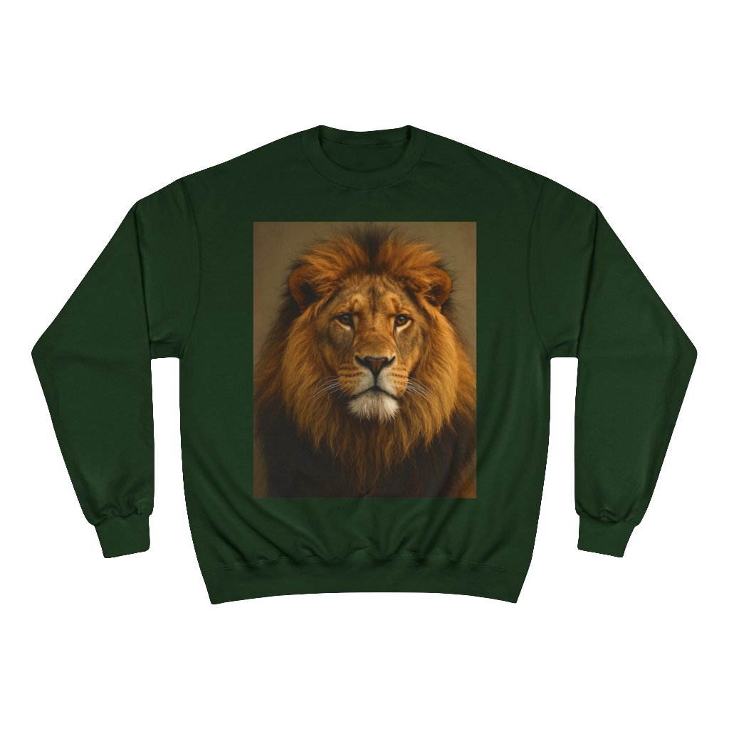 Champion Sweatshirt - EU Representative Contact Information and Care Instructions